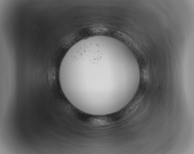 X0000102270567200808081443