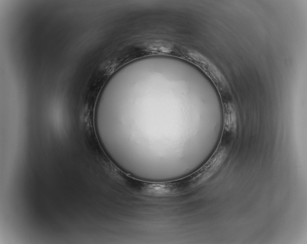 X0000102270573200808081443