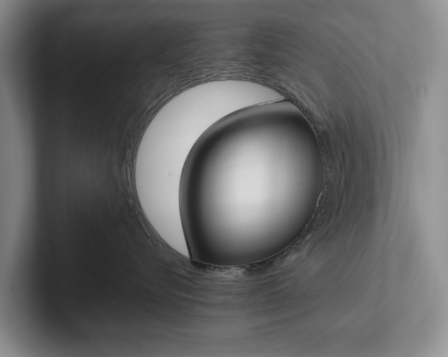 X0000102270576200808081443