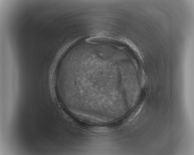 X0000102270577200808081442