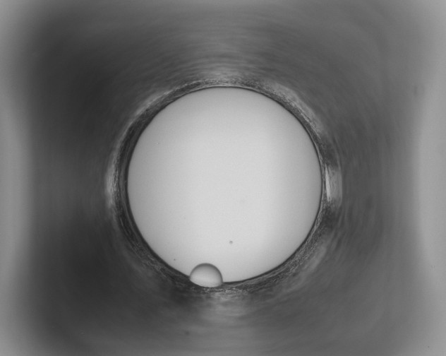 X0000102270579200808081442