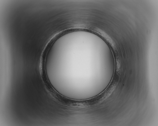 X0000102270580200808081442