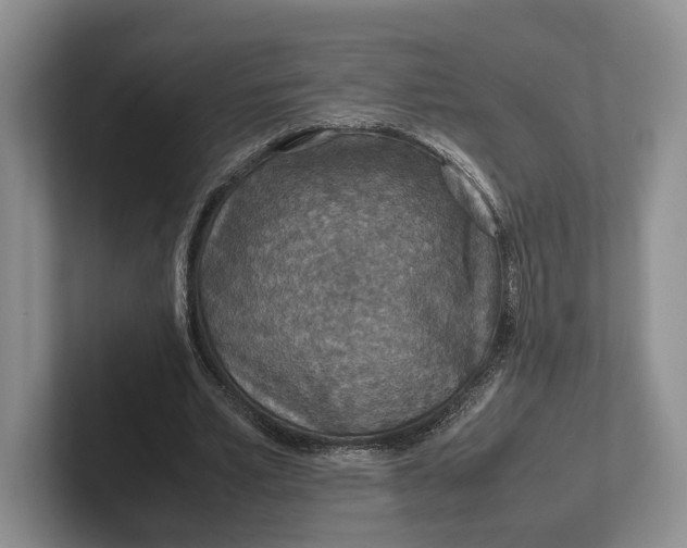 X0000102270581200808081442