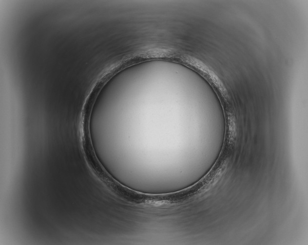 X0000102270582200808081442