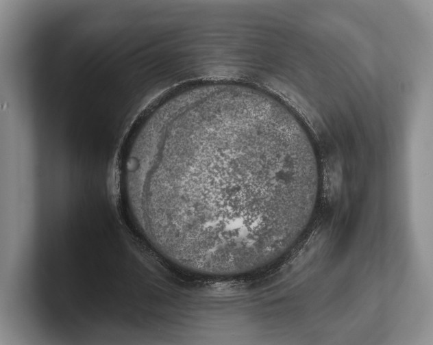 X0000102270584200808081442