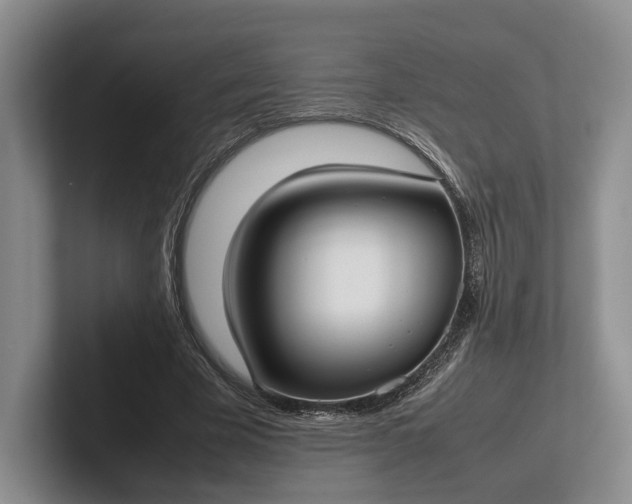 X0000102270585200808081442