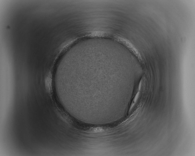 X0000102270588200808081442