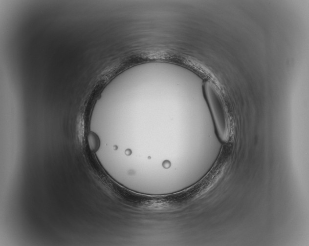 X0000102270589200808081442