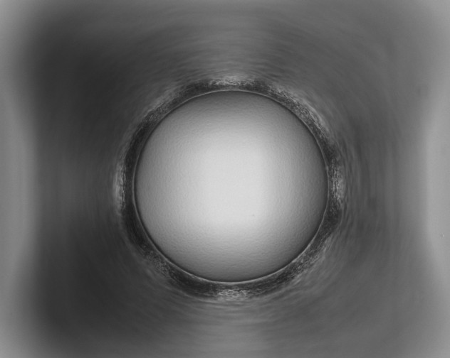 X0000102270591200808081442