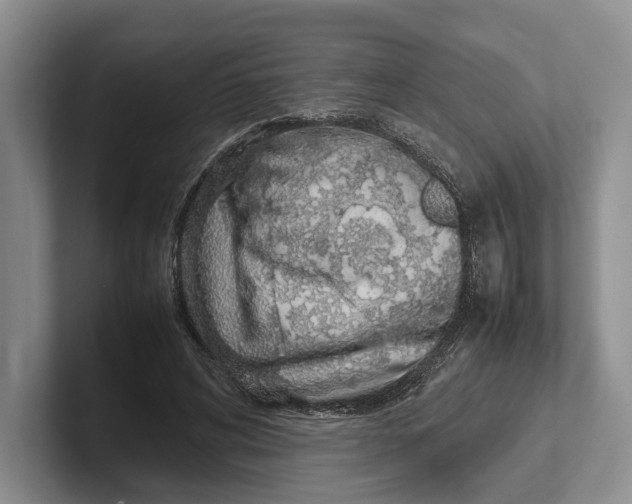 X0000102270592200808081442