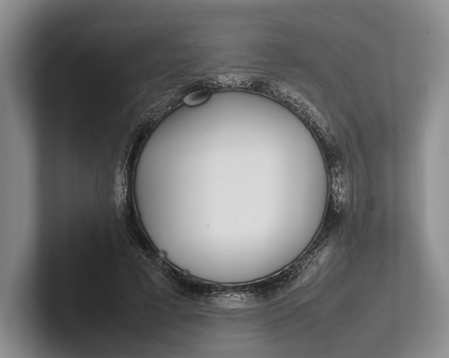 X0000102270593200808081442