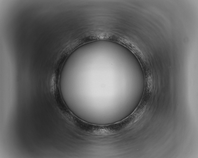 X0000102270594200808081442