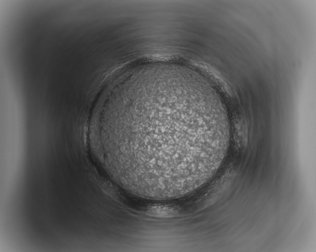 X0000102270596200808081442