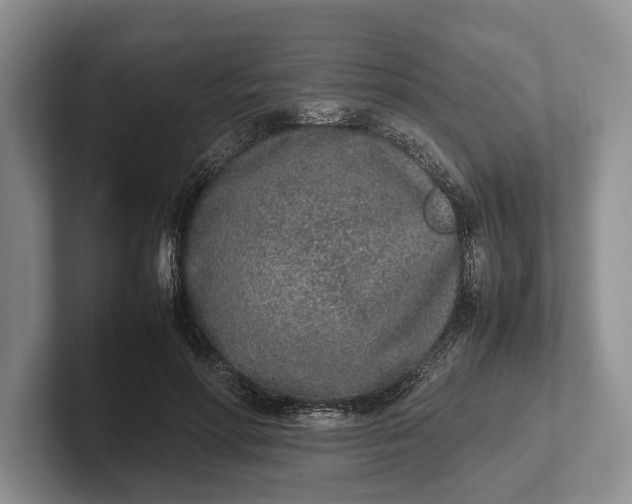 X0000102270598200808081442