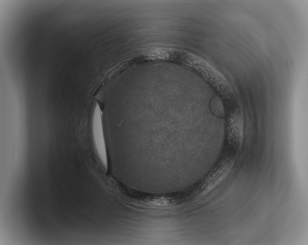 X0000102270600200808081442