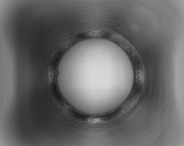 X0000102270602200808081442