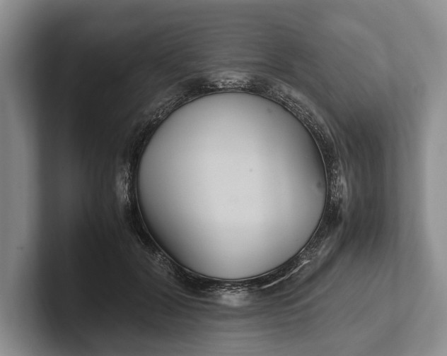 X0000102270604200808081442