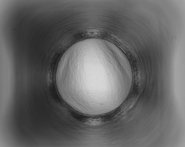 X0000102270606200808081442