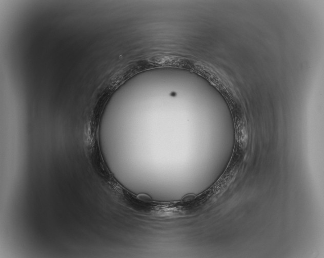 X0000102270607200808081442