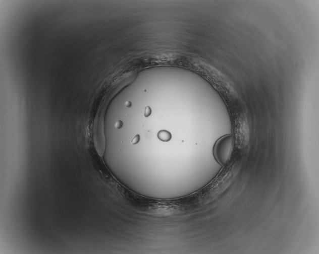 X0000102270608200808081442