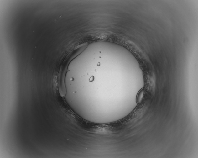 X0000102270612200808081442