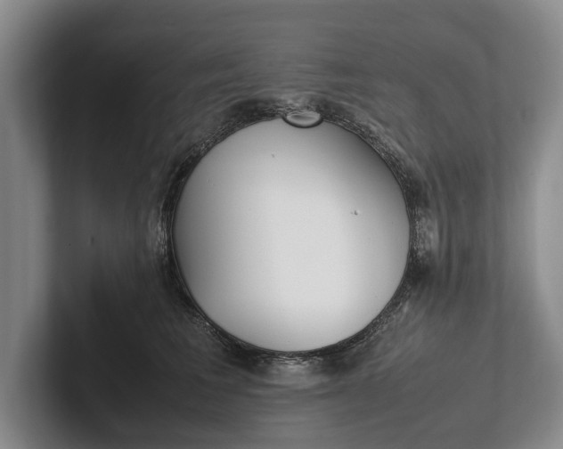 X0000102270613200808081442