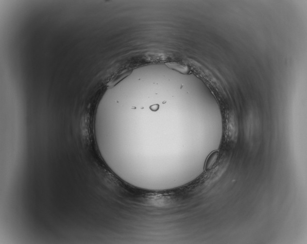 X0000102270616200808081442