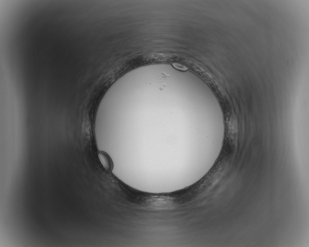 X0000102270617200808081442