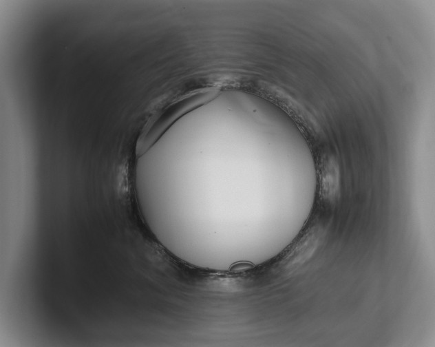 X0000102270620200808081442