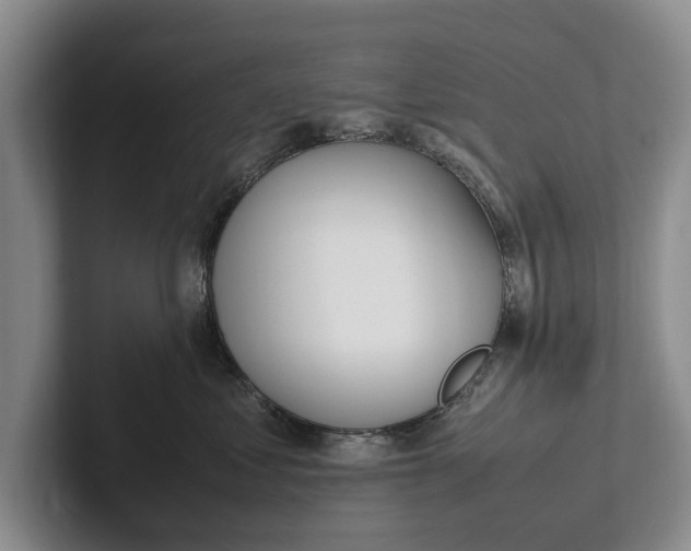 X0000102270621200808081442