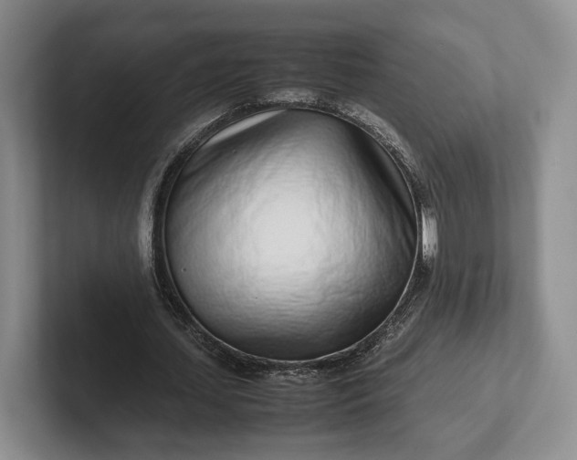 X0000102270627200808081441