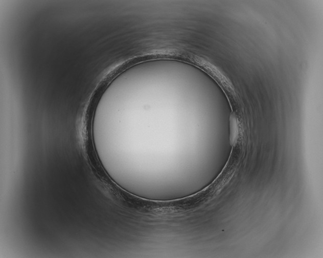 X0000102270628200808081441