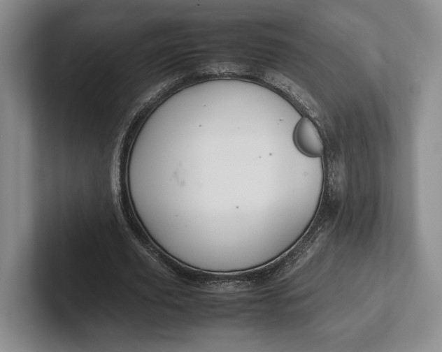 X0000102270629200808081441