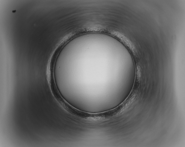 X0000102270630200808081441