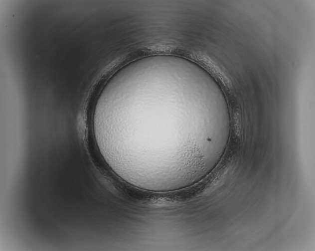 X0000102270634200808081441