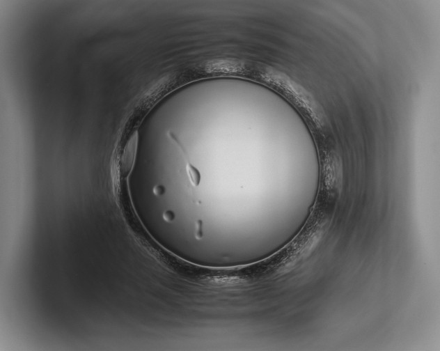 X0000102270637200808081441