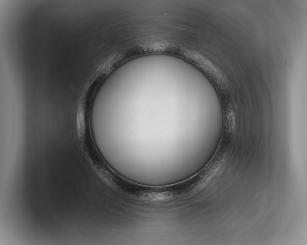 X0000102270638200808081441