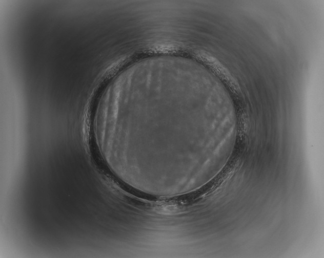 X0000102270640200808081441