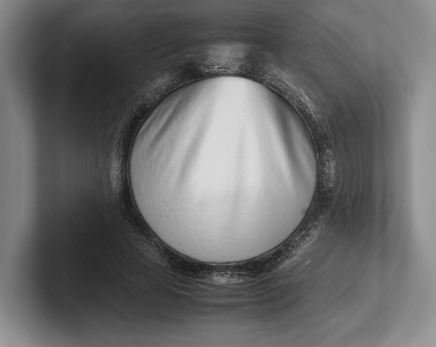 X0000102270641200808081441