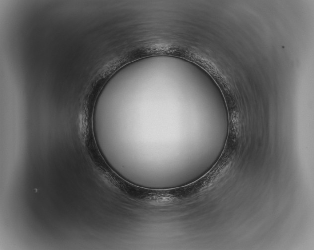 X0000102270642200808081441