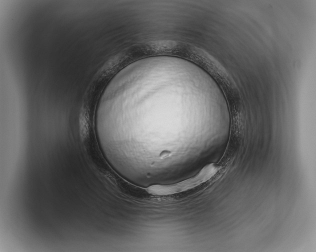 X0000102270644200808081441