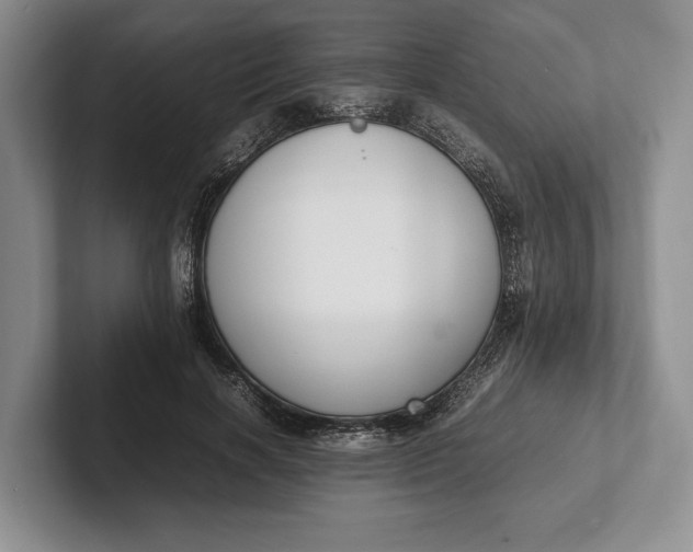 X0000102270646200808081441