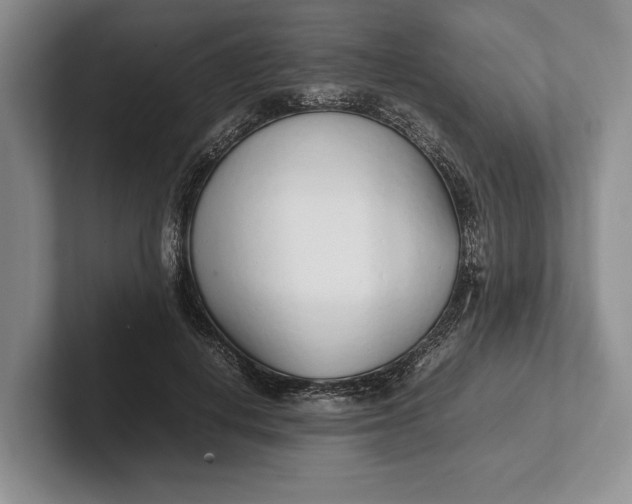 X0000102270648200808081441