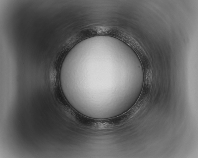 X0000102270650200808081441