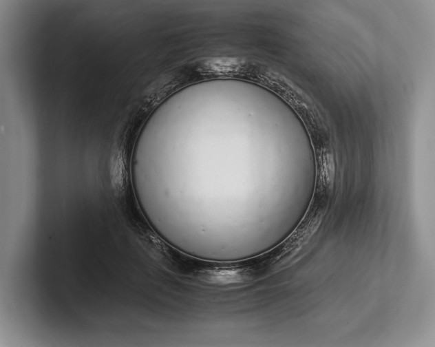 X0000102270651200808081442