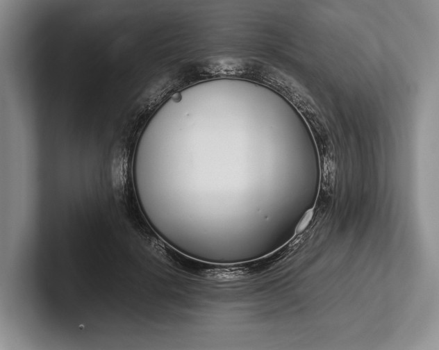 X0000102270652200808081442