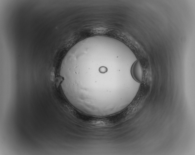 X0000102270655200808081442