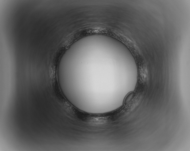 X0000102270657200808081442