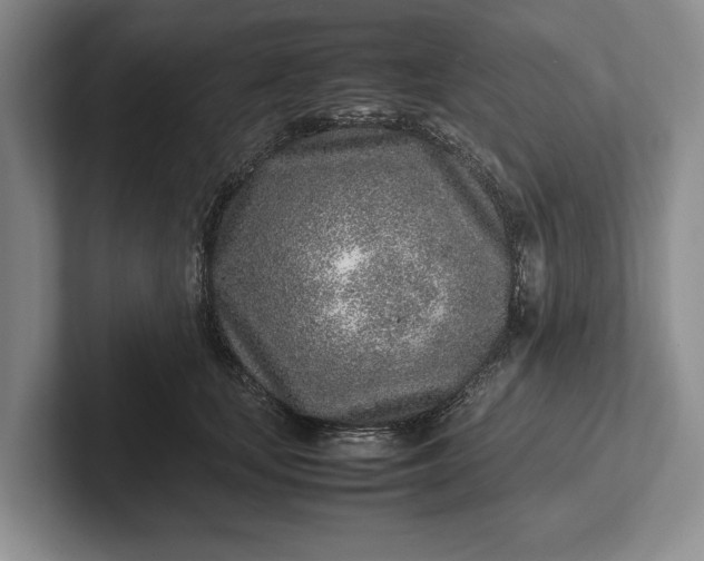 X0000102270659200808081442