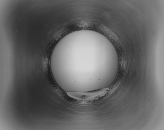 X0000102270660200808081442